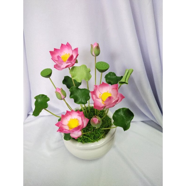 Chậu sen đất sét mini