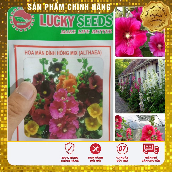 Hạt Giống Hoa Mãn Đỉnh Hồng Đơn Mix nhiều màu gói 10 Hạt