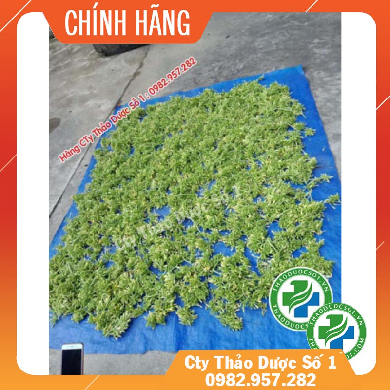 HOA ĐU ĐỦ ĐỰC_100Gram [Hàng công ty thảo dược số 1 } - TDSO1