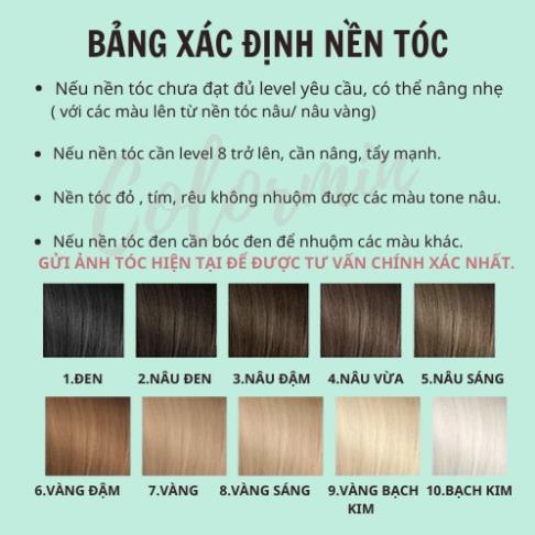 Thuốc Nhuộm Tóc Màu Xanh Dương Đen Khói Không Cần Tẩy | Pika, Tặng Kèm Trợ Nhuộm, Găng Tay