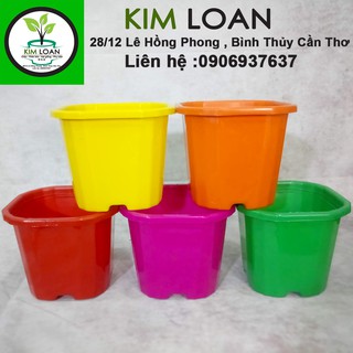 Combo 5 chậu nhựa vuông vát góc 15x13cm