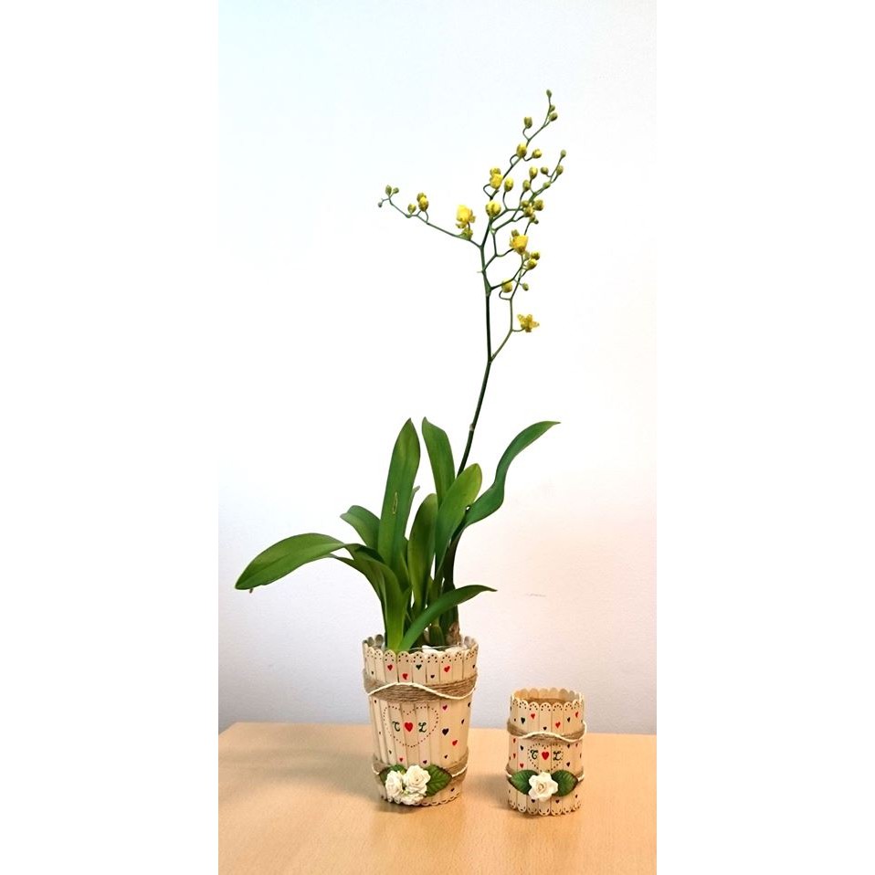 Chậu Hoa (Handmade)