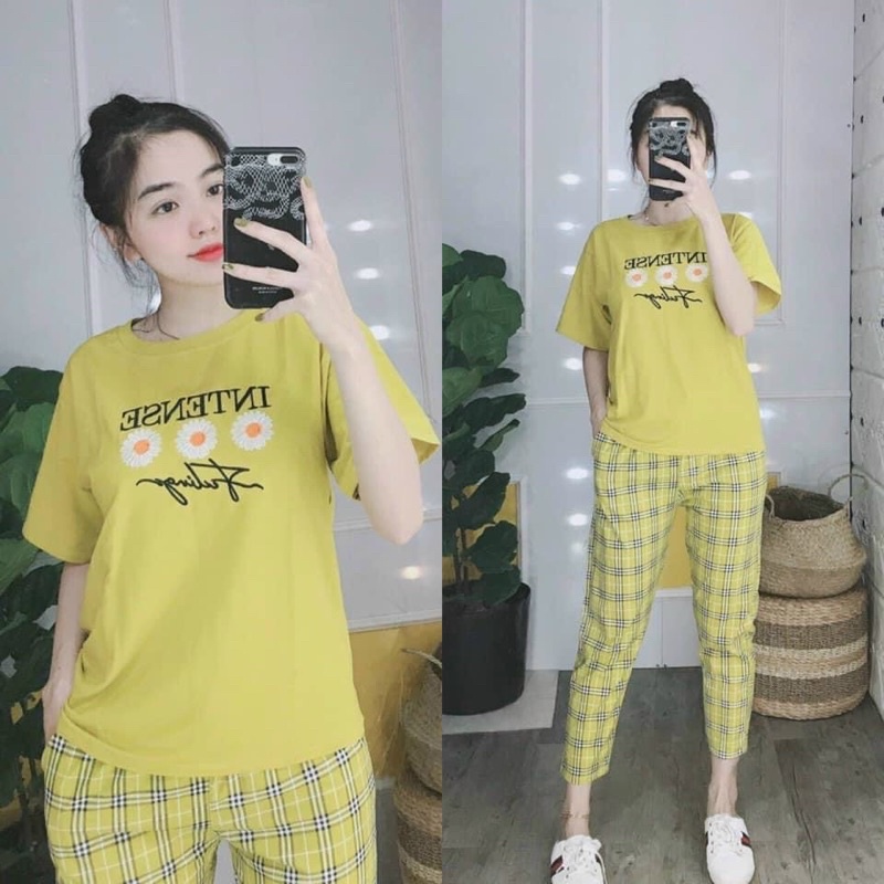 Đồ bộ nữ đồ bộ thun cotton mặc nhà đồ bộ bigsize đồ bộ nữ đẹp