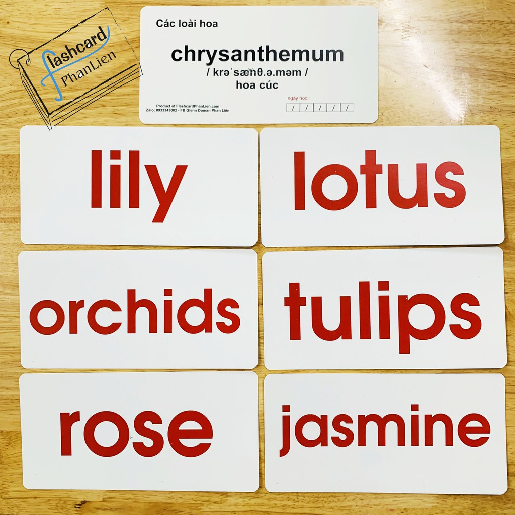Thẻ từ đơn Flashcard song ngữ tiếng anh - English flashcards - thẻ nhập tâm