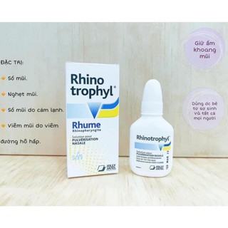 Nhõ mũi KV rhinotrophyl