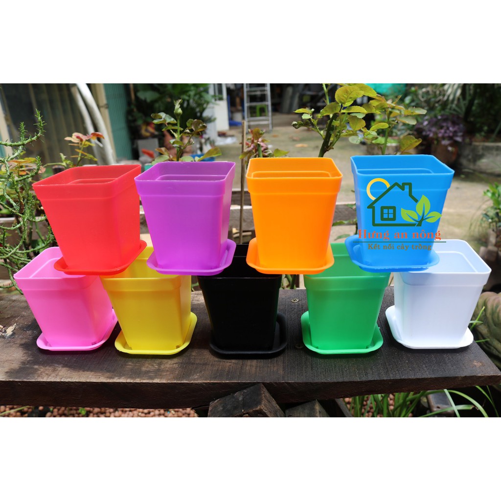 L1 - Combo 10 bộ chậu vuông kèm dĩa lót size 7x7x8cm - trồng sen đá bonsai xương rồng có 10 màu chọn