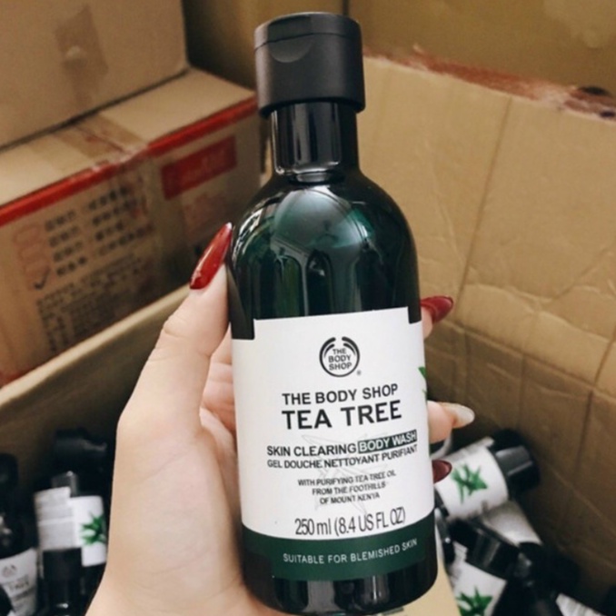 Sữa Tắm Tea Tree Giảm Mụn Lưng The Body Shop Body Wash 250ml ◍Vittorio◍ | BigBuy360 - bigbuy360.vn