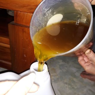 Mật ong hoa cà phê nguyên chất 100%