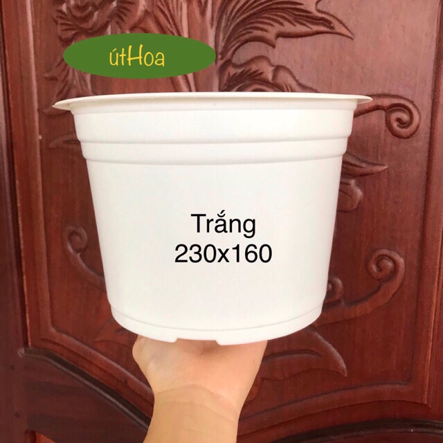 [ Sỉ từ 20 cái Chậu nhựa trắng T23 có vành miệng cứng