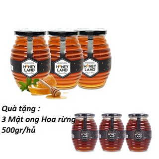 HONEYLAND - 3 M.ONG HOA XUYẾN CHI 500GR TẶNG 3 M.ONG HOA RỪNG 500GR