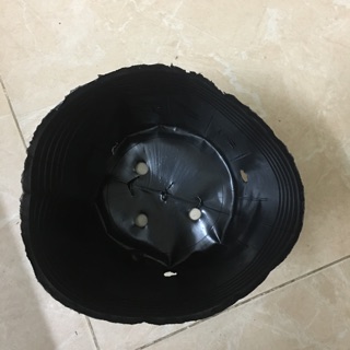 10c bầu ươm cây sz 18 x 14