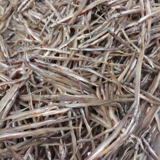 Khô cá lãi trứng đặc sản gò Công tiền Giang thời giang sự dụng 6 tháng bảo quản trong tủ lạnh giữ hương vị của khô lãi .