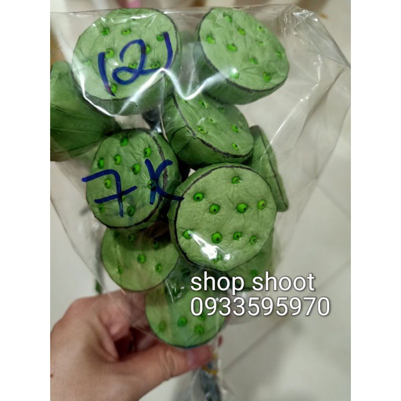 GƯƠNG SEN GIẤY