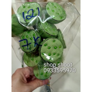 GƯƠNG SEN GIẤY(1 cái)