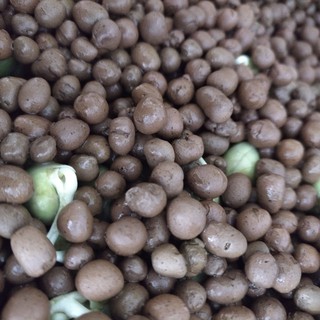 Đất sét nung POPPER_1 lít584
