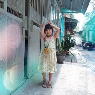 Túi trái Thơm Handmade