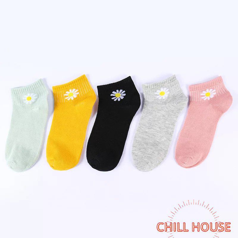MỚI*TÚI 10 ĐÔI TẤT HOA CÚC CỔ NGẮN HOT HIT - CHILLHOUSE