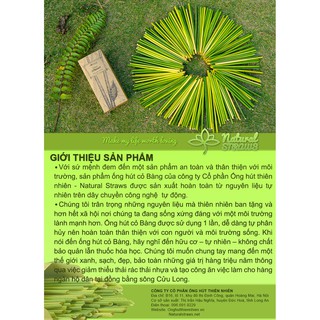Ống hút cỏ Bàng khô (100+5 ống) [Đường kính lớn nhất thị trường]