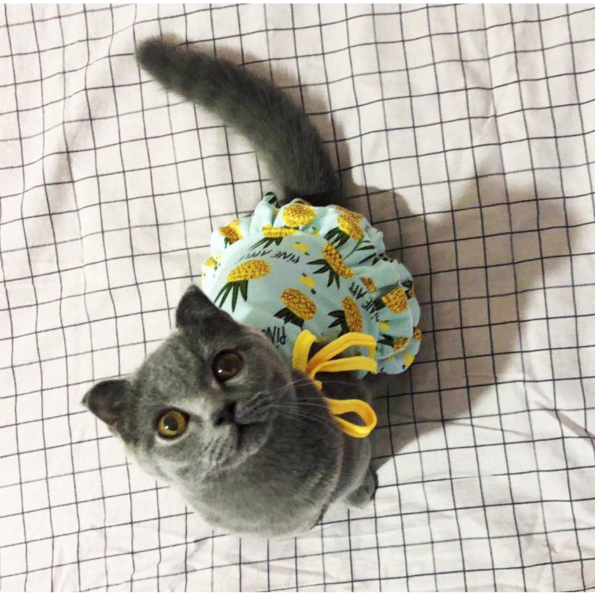 Quần áo thú cưng - Áo đầm 2 dây hình trái cây mùa hè thoáng mát chất liệu vải đẹp cho các boss
