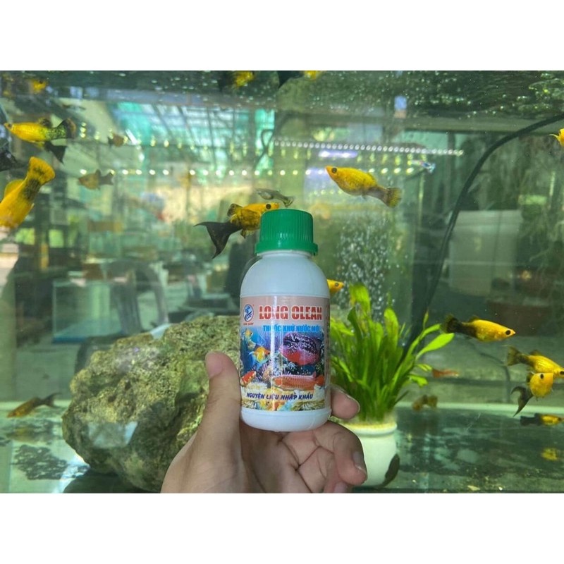 Khử nước mới, khử clo hồ cá LONG CLEAN dung dịch khử nước hồ cá hiệu quả, bảo vệ an toàn giúp cá không bị sốc nước