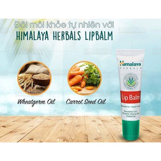 Son dưỡng Himalaya Lipbalm 10g