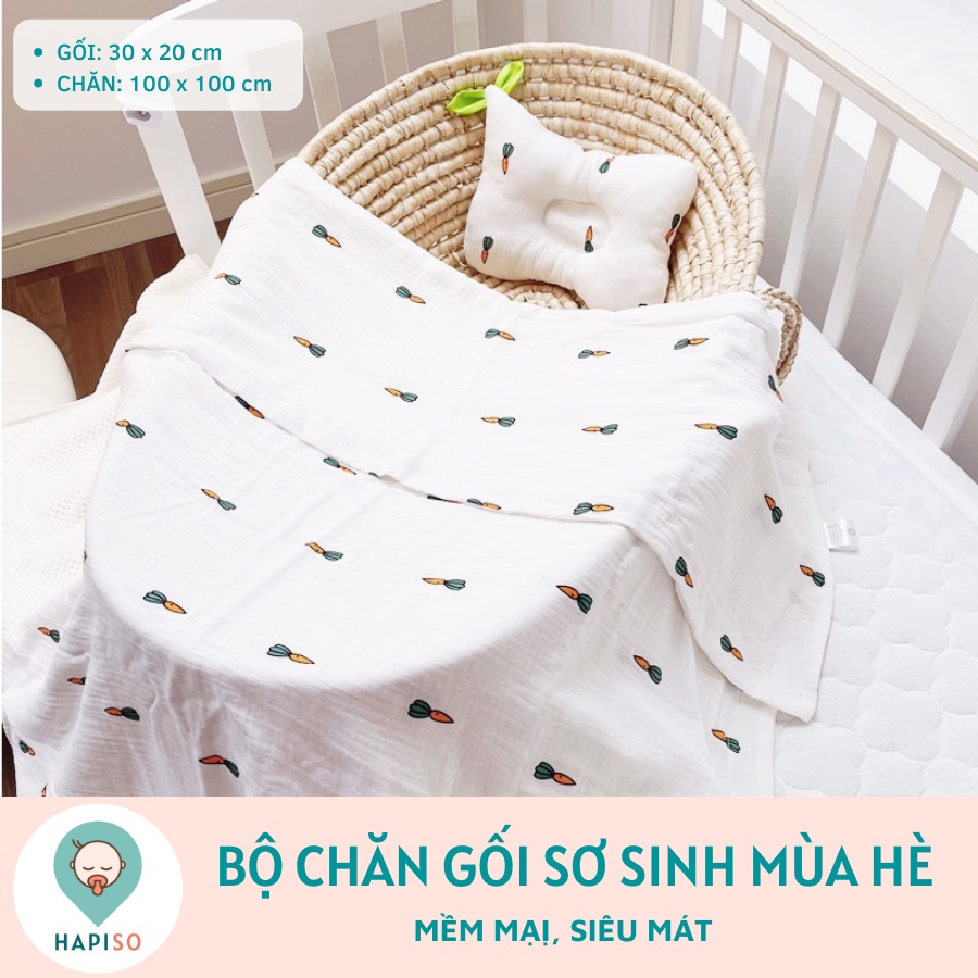 Bộ Chăn Gối Sơ Sinh Mùa Hè Hapiso