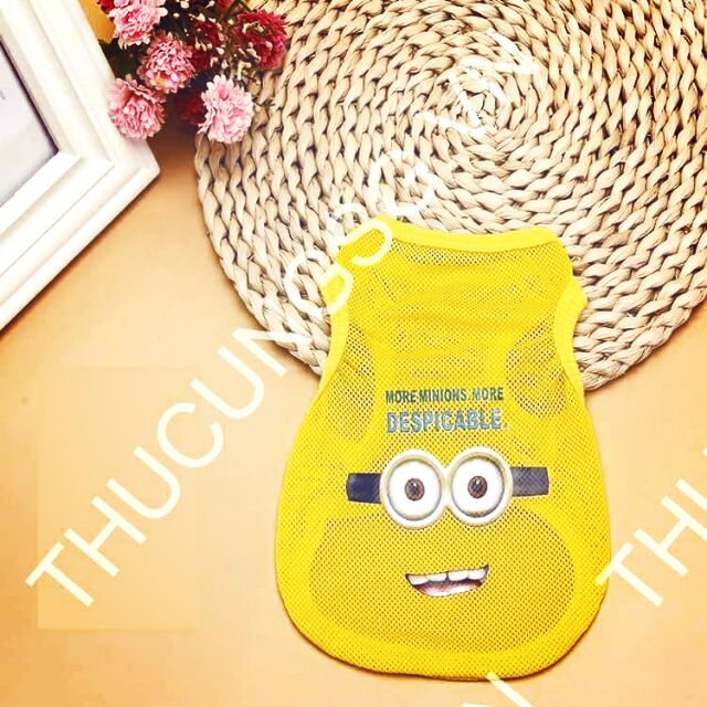 Áo lưới minion