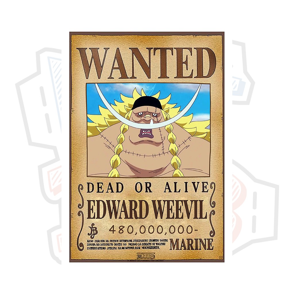 Poster truy nã Edward Weevil (Thất Vũ Hải) - One Piece