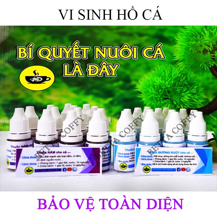 Vợt Nước Show Cá - Siêu Tiện Lợi - Chống sốc khi vớt cá