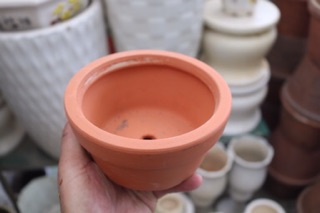 Chậu đất nung trồng cây