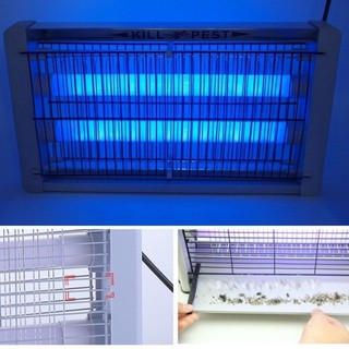 Đèn  bắt muỗi Kill Pest LED ._30.w