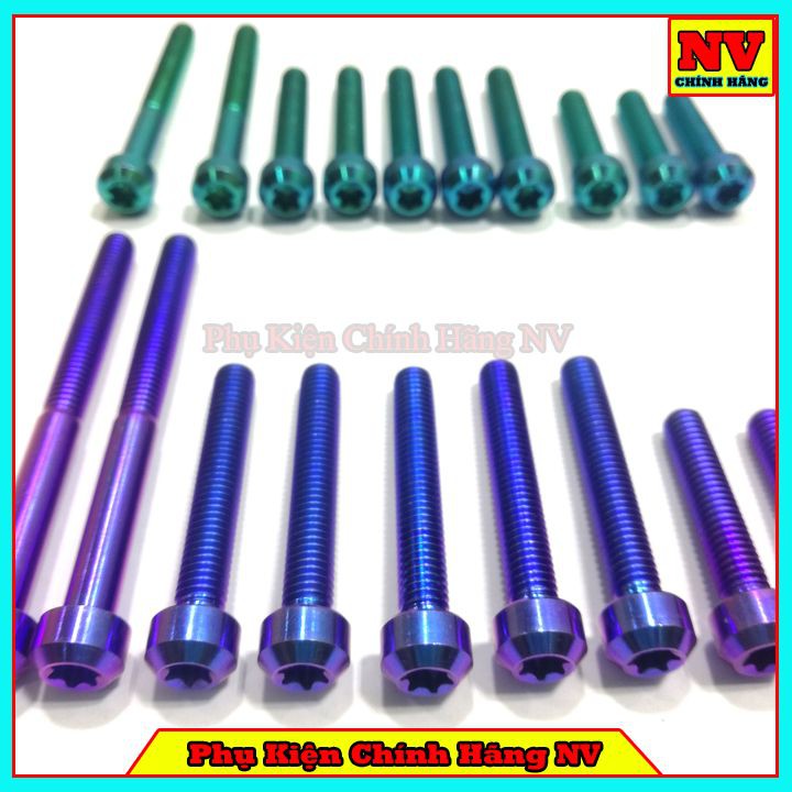 Bộ Ốc Lốc Máy Vario Gr5 Full Bộ 10 Con