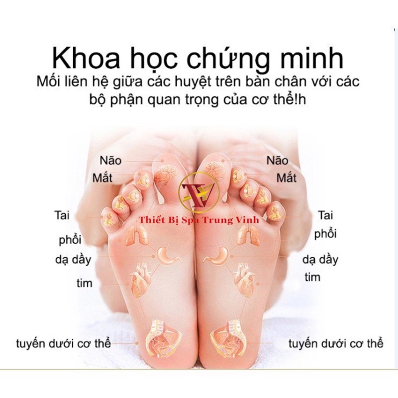 Bồn Ngâm Chân Hồng Ngoại Massage Thư Giãn, Máy Ngâm Chân Mát xa