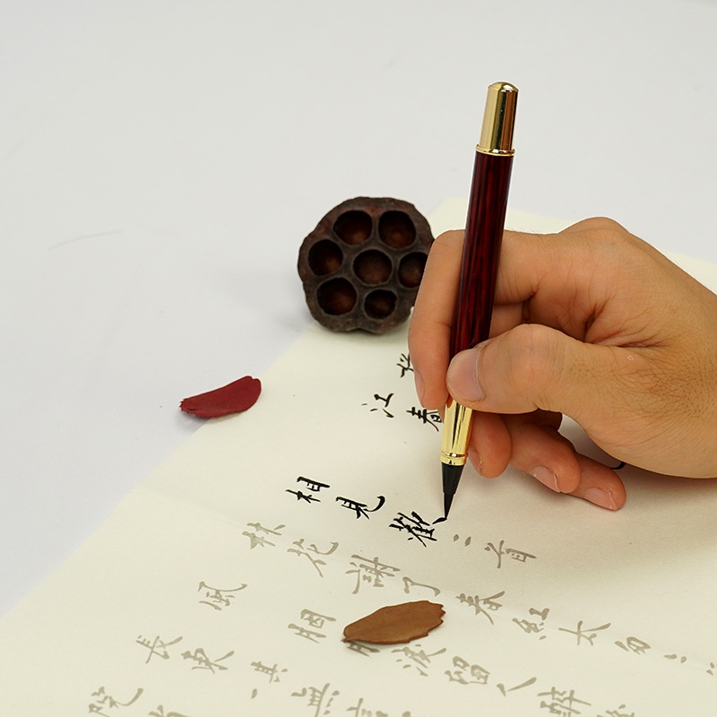 Bút lông Bút Viết Thư Pháp Thiết Kế Mới Tiện Lợi Dễ Sử Dụng viết bút lông Có thể thêm mực như bút