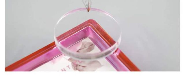 Đế Silicon tạo fan mi thần thánh