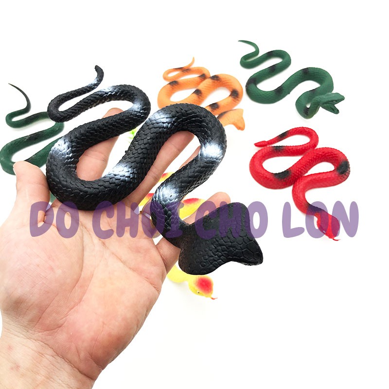 Đồ chơi mô hình 6 CON rắn hổ mang World Reptiles 666M33