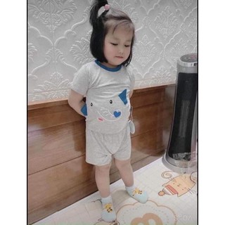 bộ thun lạnh tai thú cho bé