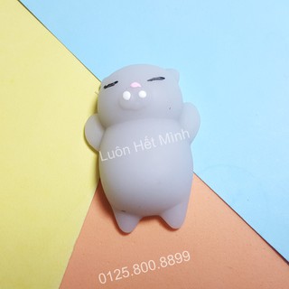 zSquishy Mochi Mèo Xámt