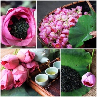 CHÈ BÔNG SEN HỒ TÂY