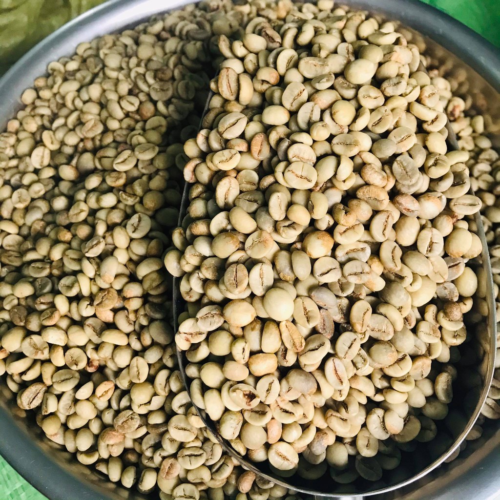 Cà Phê rang xay Robusta Honey - Cafe nguyên chất 100% túi 500gr - Gucoffee | BigBuy360 - bigbuy360.vn