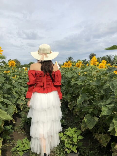 Váy lưới tầng dài- váy dự tiệc xinh lung linh | BigBuy360 - bigbuy360.vn