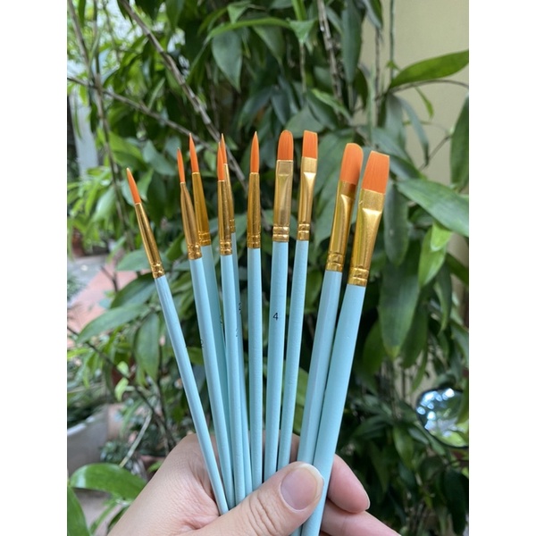 Bộ 10 chổi quét , cọ quét mặt bánh cao cấp