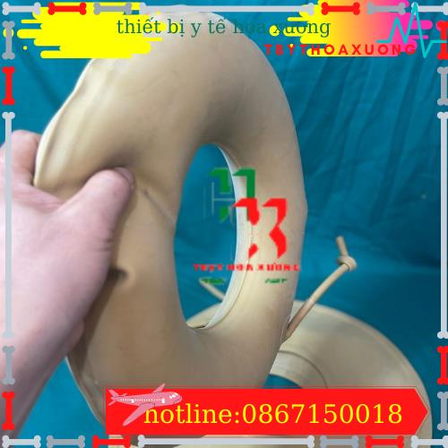 Đệm Chống Loét Phao Chống Loét Vùng Mông Bằng Cao Su Cho Người Già Siêu Bền