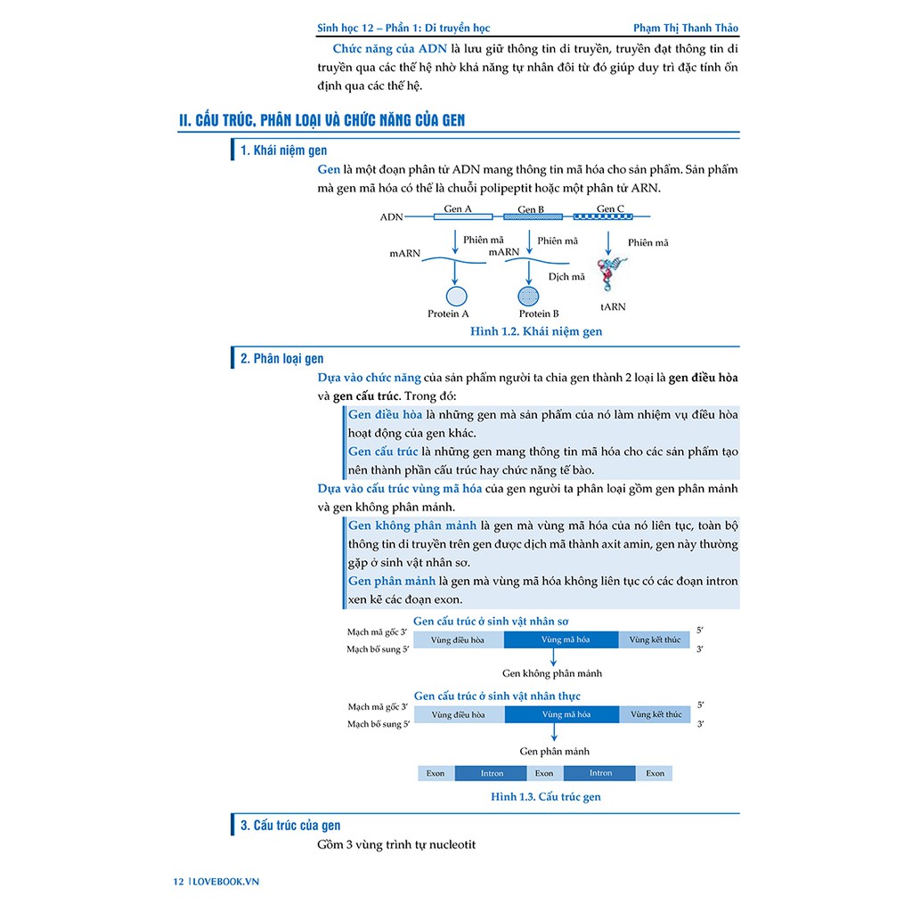 Sách - Công Phá Lí Thuyết Sinh 10-11-12 | BigBuy360 - bigbuy360.vn