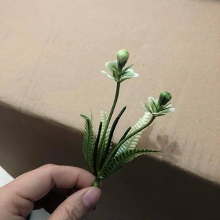 Cỏ điểm nhựa cắm hoa