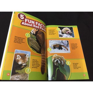 Bộ nhập - National Geographic Kids (Level 1 - 38q)