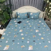 Bộ ga gối cotton Hàn, ga chun trơn và 2 vỏ gối lót bông y ảnh, sẵn hàng