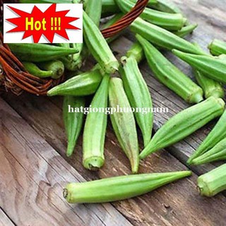 Hạt Giống Đậu Bắp Xanh 10 hạt