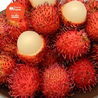 [HCM] Chôm Chôm Thái Ngọt - Shopeefarm