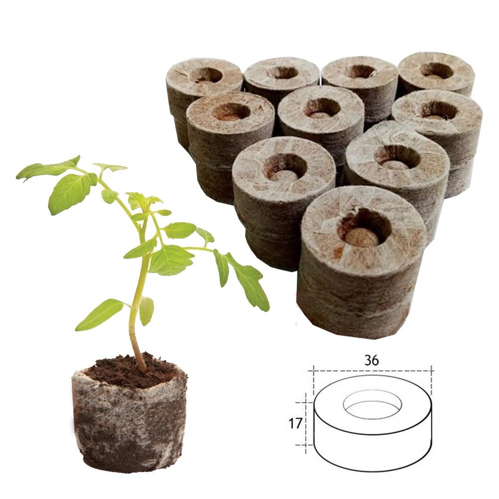 50 Viên nén xơ dừa dùng để ươm hạt giống, kích thích nảy mầm nhanh